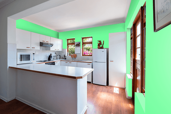 Pretty Photo frame on Very Light Malachite Green color kitchen interior wall color