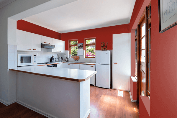 Pretty Photo frame on Vivid Auburn color kitchen interior wall color