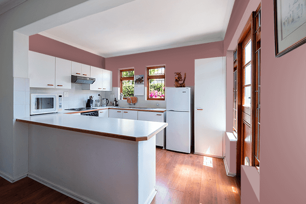 Pretty Photo frame on Copper Rose color kitchen interior wall color