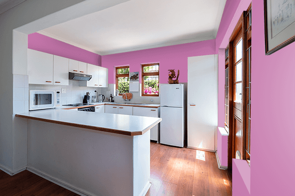 Pretty Photo frame on Sky Magenta color kitchen interior wall color