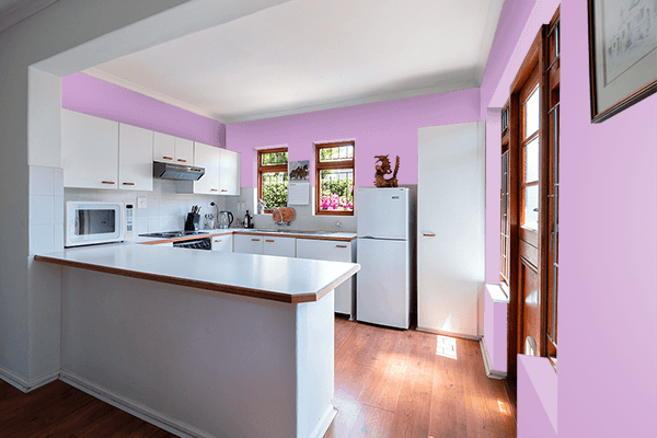 Pretty Photo frame on Tropical Violet color kitchen interior wall color