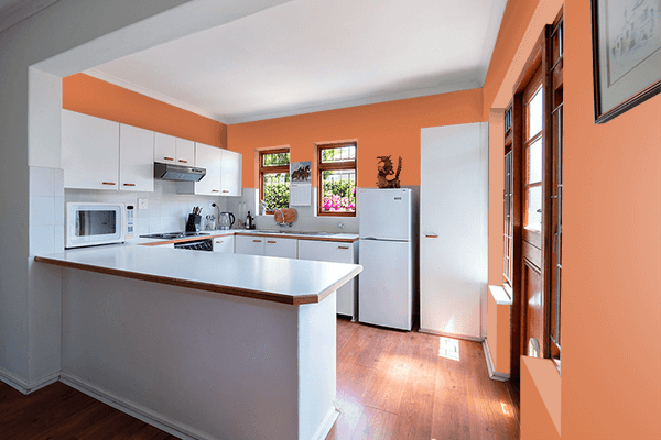 Pretty Photo frame on Copper Red color kitchen interior wall color