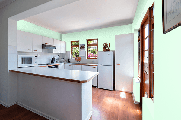 Pretty Photo frame on Nyanza color kitchen interior wall color