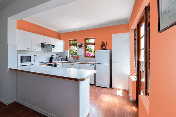 Pretty Photo frame on Burnt Sienna color kitchen interior wall color