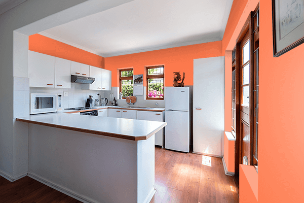 Pretty Photo frame on Coral color kitchen interior wall color
