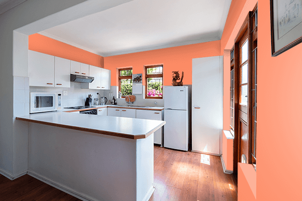 Pretty Photo frame on Atomic Tangerine color kitchen interior wall color