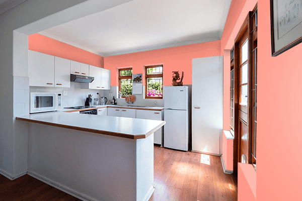 Pretty Photo frame on Vivid Tangerine color kitchen interior wall color