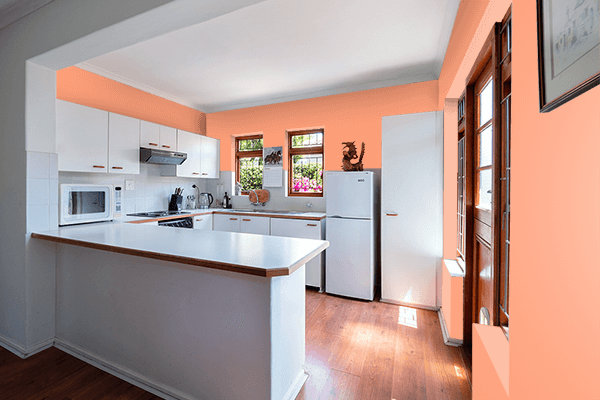 Pretty Photo frame on Light Salmon color kitchen interior wall color