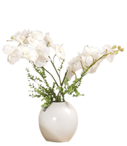 Dull White Vase with White Flowers