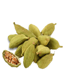 Green Cardamom pods and seeds used as mouth freshner