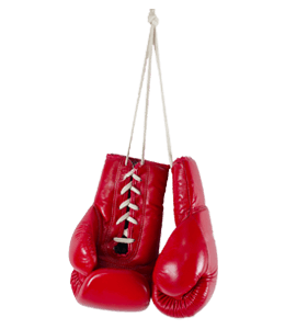 Sports-Red Boxing Gloves
