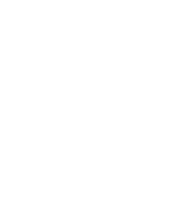 Angel white wings