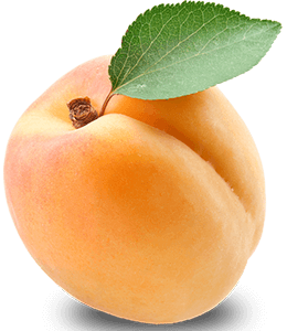 Apricot fruit with leaf