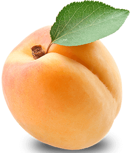 Bleached Apricot color hex code is #FCCAAC