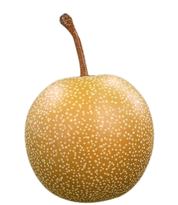 Asian or Japanese Pear