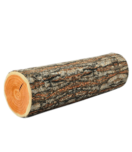 Bark of the log