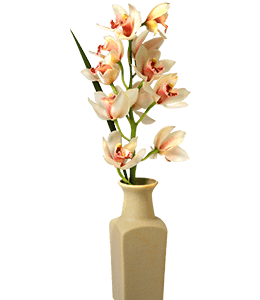 Beige colored vase with orchids