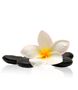 Black pebbles with white flower