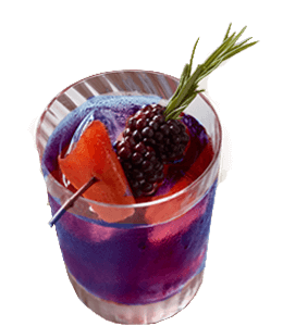 Blackberry drink with fresh rosemary and blackberry