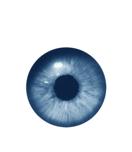 Blue and Gray Eye ball