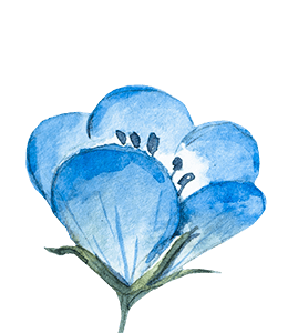 Blue Flower Watercolor painting