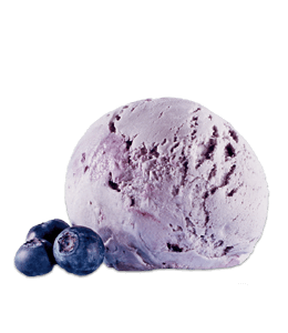 Blueberry ice cream with fresh berries