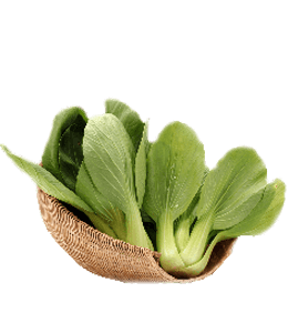 Bok choy Chinese cabbage in a basket
