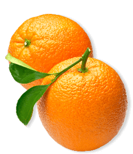 Bright and fresh orange