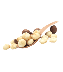 Brown and white hazelnuts