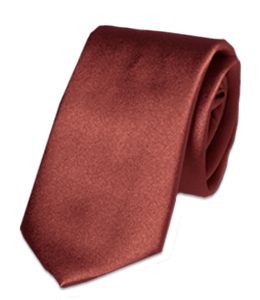 Brown color formal tie