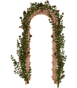 Brown roses decorated on a garden gateway