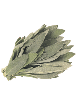 Bunch of white sage