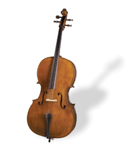 Cello instrument