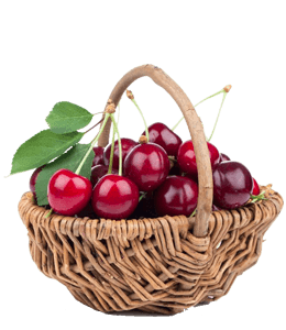 Cherries in Fruit Basket