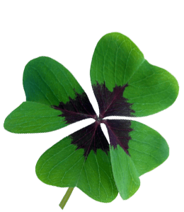 Clover leaf