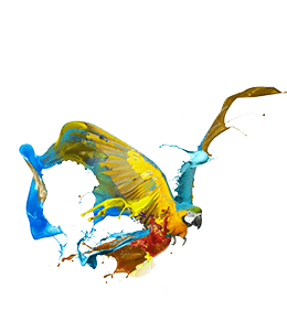 Colorful macaw - paint