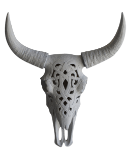 Ornamental and decorative cow skull