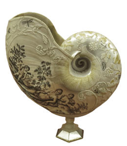 Craft snail shell