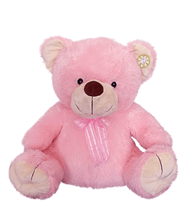 Cute pink teddy