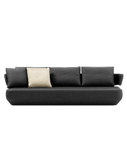 Dark gray colored sofa