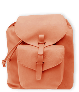 Dark peach color bag