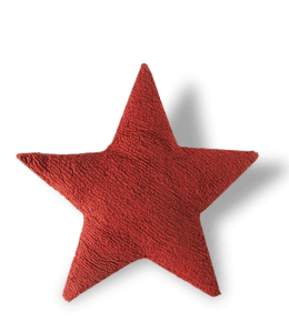 Dark reddish maroon color star shaped cushion