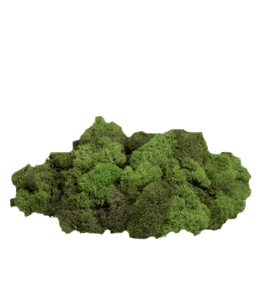 Deep Green moss