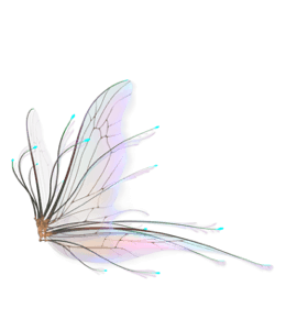 Delicate fairy wings