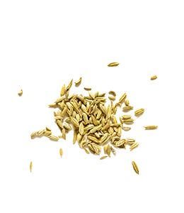 Dill Green color hex code is #B6AC4B