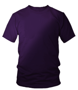 Double purple shade round neck t-shirt