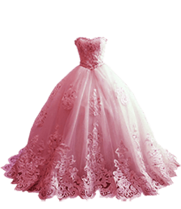Elegant Wedding gown