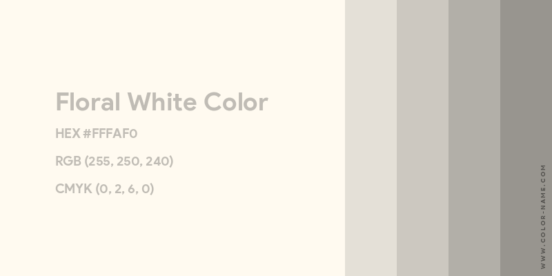 Floral White color image with HEX, RGB and CMYK codes