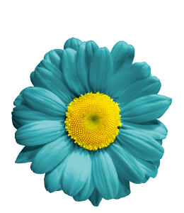 Flower with green-blue petals