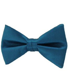 Formal navy blue bow